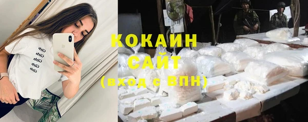 молекула духа Дмитров