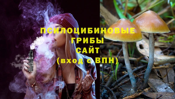 молекула духа Дмитров
