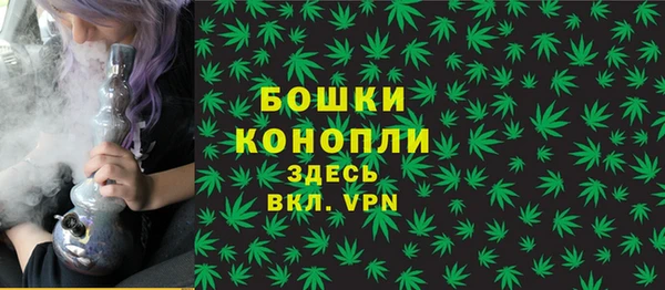 спиды Дмитриев