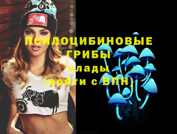 молекула духа Дмитров