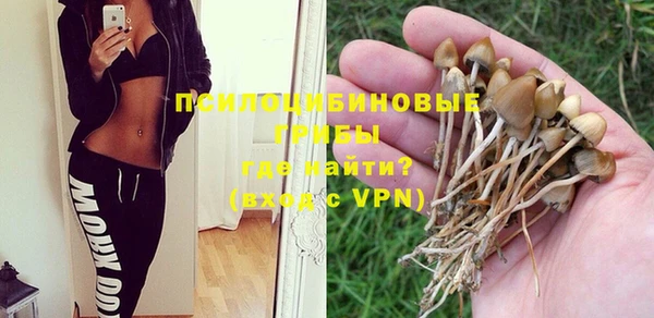 спиды Дмитриев