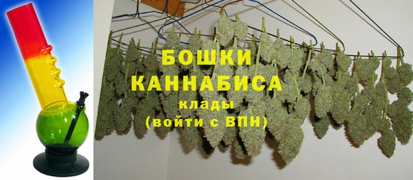 молекула духа Дмитров