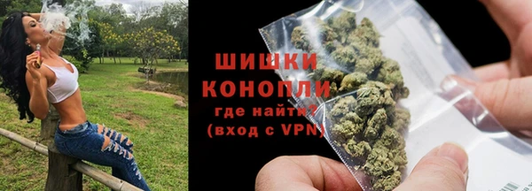 гашик Дмитровск