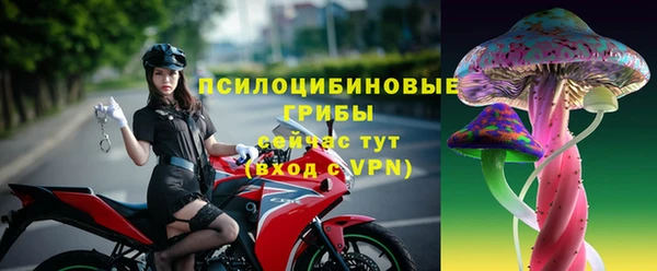 спиды Дмитриев